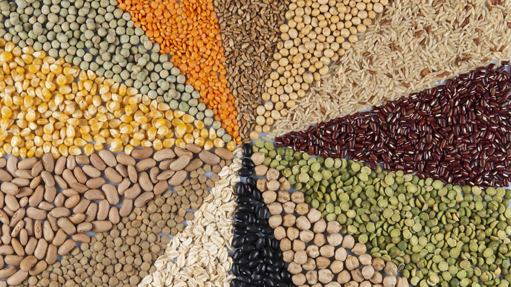Whole grains